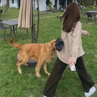 悬案委托行